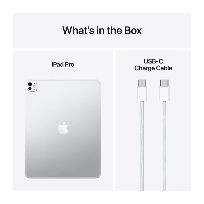 13-inch iPad Pro Wi-Fi + Cellular 256GB Standard Glass - Silver (M5)