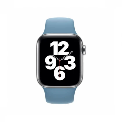 Apple Watch 40mm Band: Northern Blue Sport Band - Regular (Seasonal Nov2020)