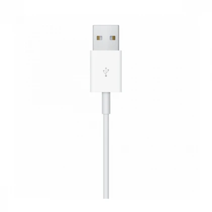 Apple Watch Magnetic Charging Cable (2 m)