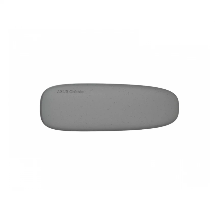 ASUS (ESD-A1A) SSD rack sivi 