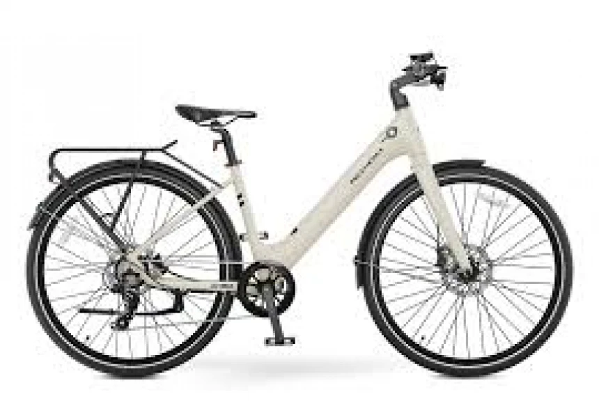 MS ENERGY eBike c30