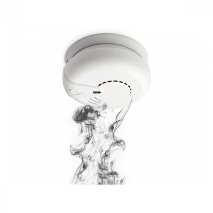 ELDES EWF1 Bezic.dimni detektor 