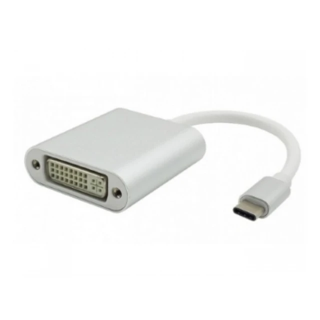 FAST ASIA Adapter - konvertor USB 3.1 tip C (M) - DVI (F) srebrni 