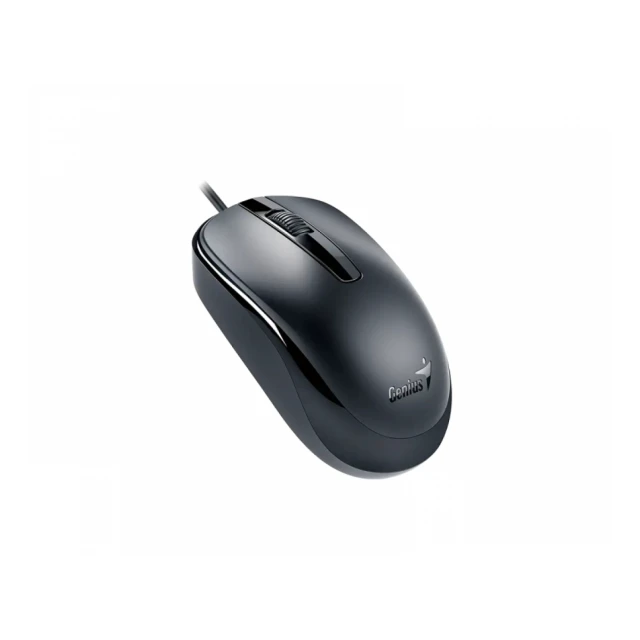 GENIUS DX-120 USB-C Optical crni miš 
