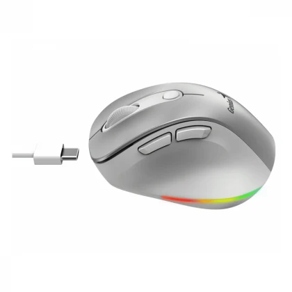 GENIUS Ergo 9000S Pro Silver USB Bežični sivi miš 