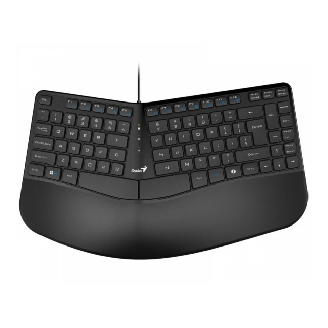 GENIUS Ergo KB-700 USB YU crna tastatura 