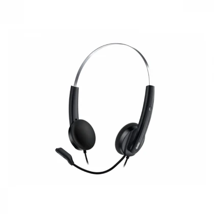 GENIUS HS-220U USB-C slušalice sa mikrofonom 