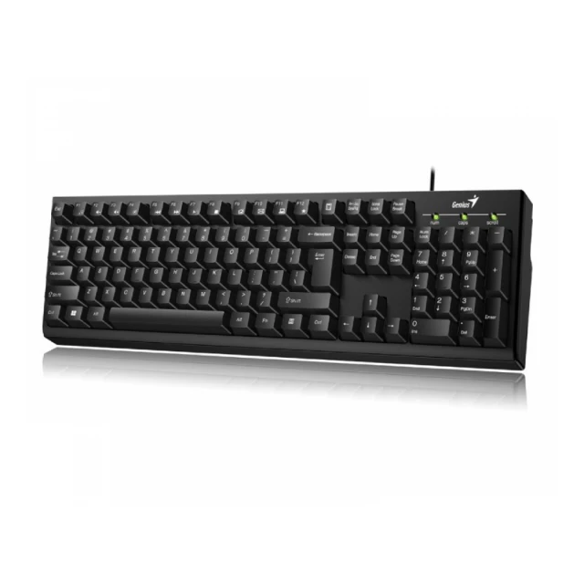 GENIUS KB-100 USB US crna tastatura 