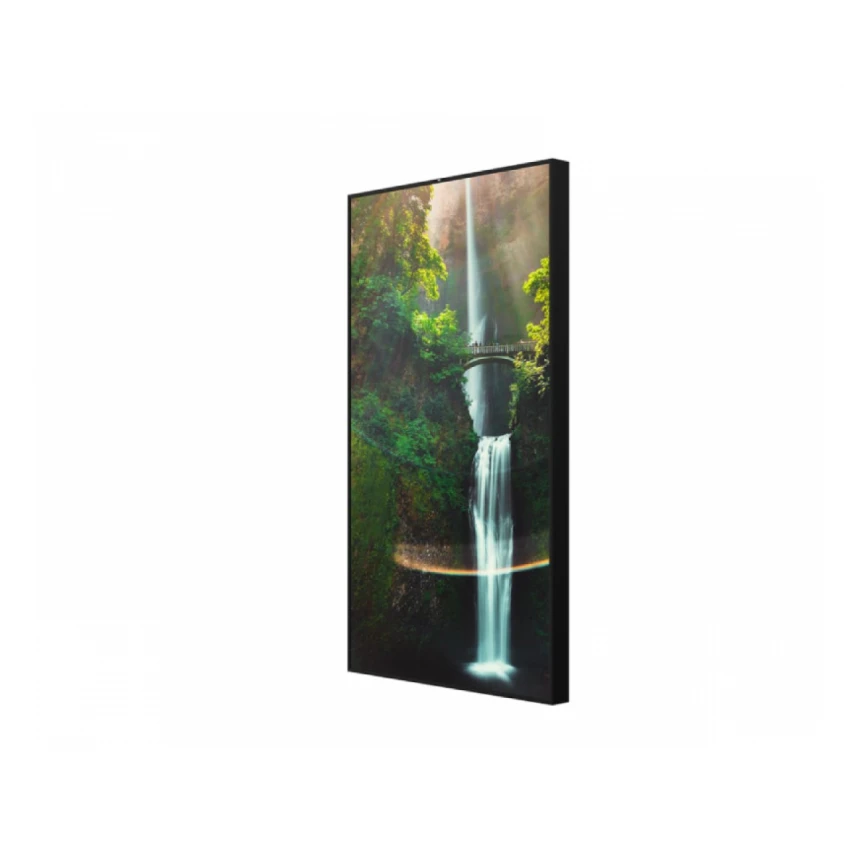 HISENSE 55 inča 55WH80F 4K UHD 4000 nita Window Facing - High Brightness Display