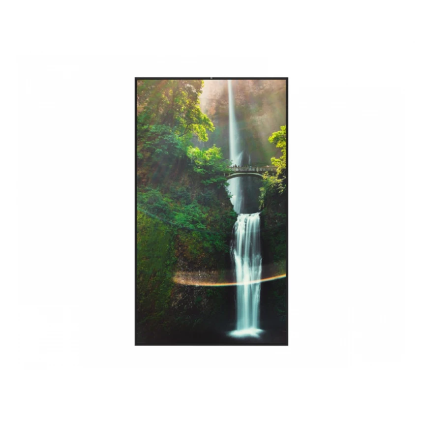HISENSE 55 inča 55WH80F 4K UHD 4000 nita Window Facing - High Brightness Display