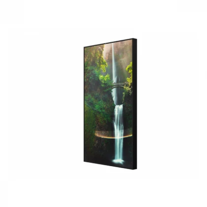 HISENSE 55 inča 55WH80F 4K UHD 4000 nita Window Facing - High Brightness Display 