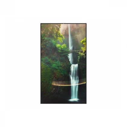 HISENSE 55 inča 55WH80F 4K UHD 4000 nita Window Facing - High Brightness Display 