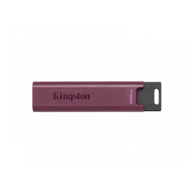 KINGSTON 256GB DataTraveler Max USB 3.2 flash DTMAXA/256GB 