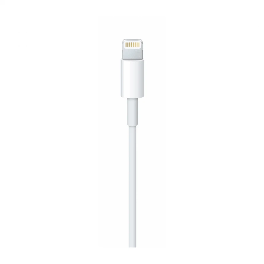 Lightning na USB Cable (1m)