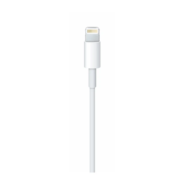 Lightning na USB Cable (1m)