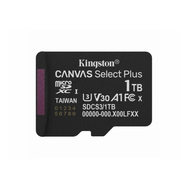 Memorije kartice KINGSTON SDCS3/1TB/Canvas Select Plus/Class10 UHS-I/150MB/s