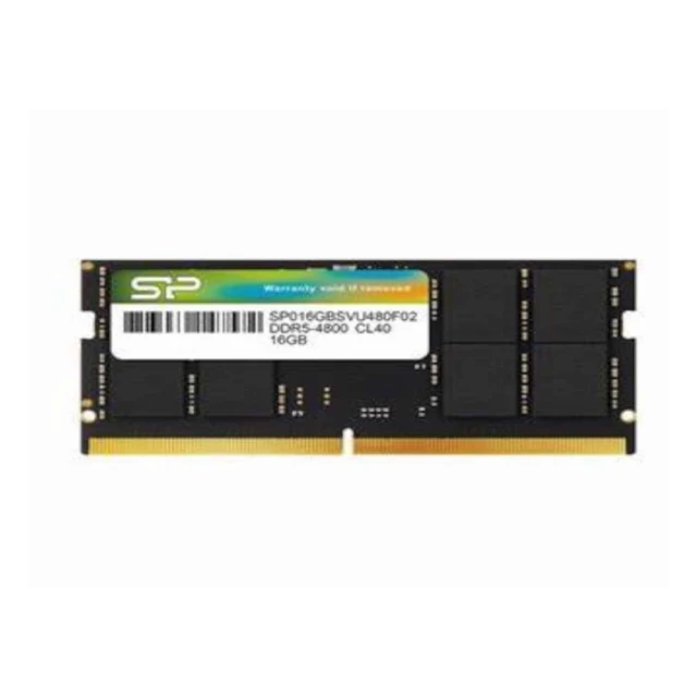 MEMORIJE KINGSTON SP016GBSVU480F02