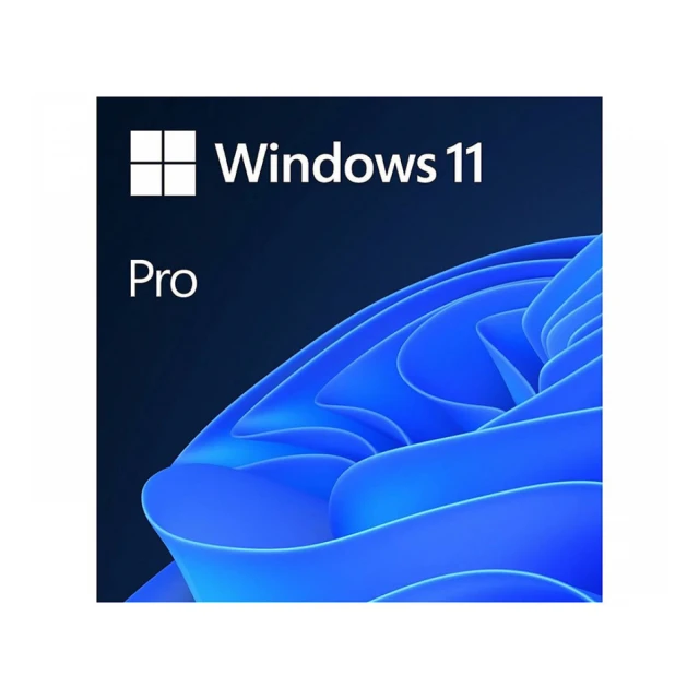 Licenca MICROSOFT Retail Windows 11 Pro/64bit/Eng Int/USB/1 PC