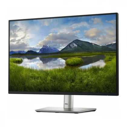Monitor 24.07" Dell P2425E IPS 1920x1200/100Hz/5ms/HDMI/DP/RJ45/USB/USB-C