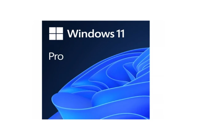 MS GGK Win Pro 11 64bit Eng Intl 1pk DVD, 4YR-00316