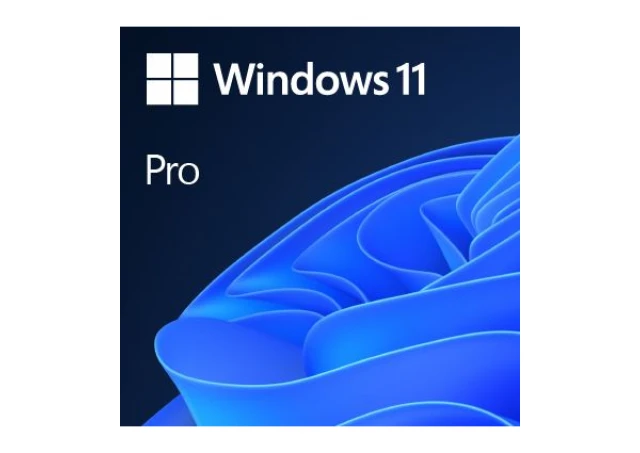 MS OEM Windows 11 Pro Eng 64-bit, FQC-10528