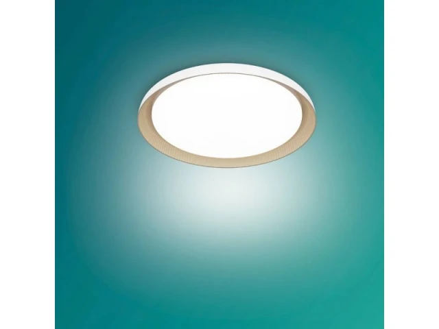 PEBBLO UE PLAFONSKA LAMPA SS BELA 10W 40K, 929004116701,PHILIPS