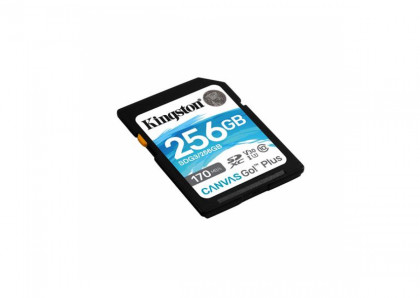 SD CARD.256GB KINGSTON SDG3/256GB