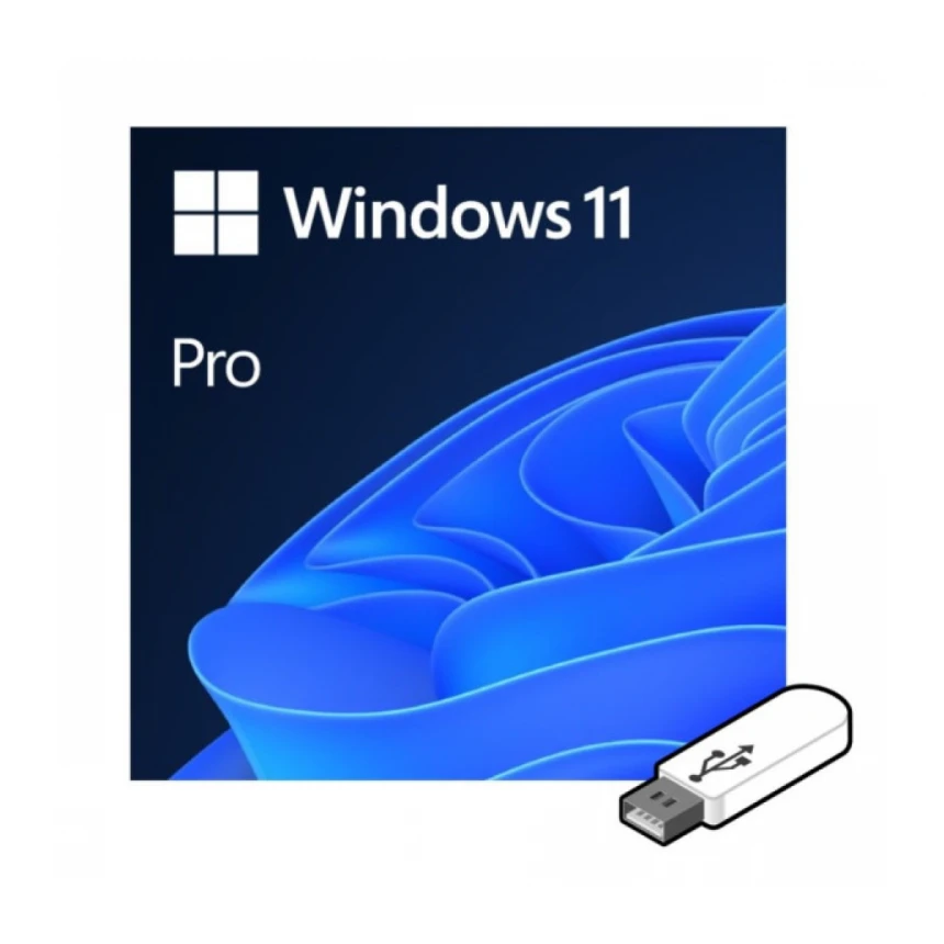 Software Microsoft Windows 11 Pro FPP 64-bit (HAV-00162) Eng USB