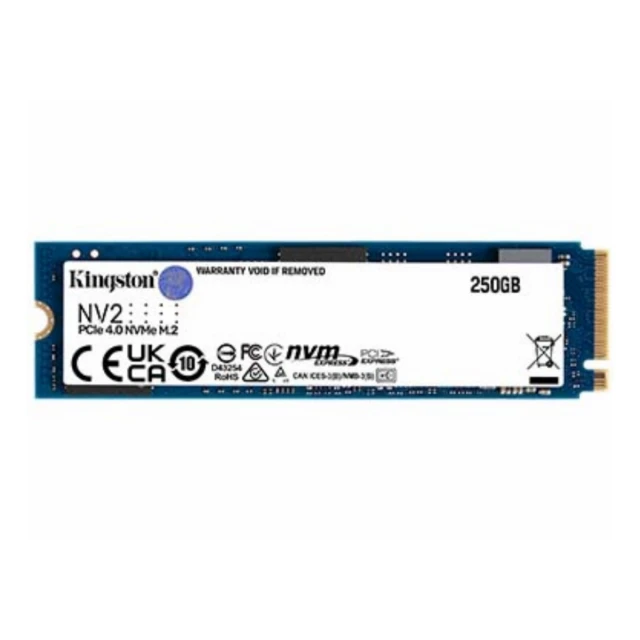 SSD KINGSTON SNV2S/250G 250GB/M.2/NVMe/crna