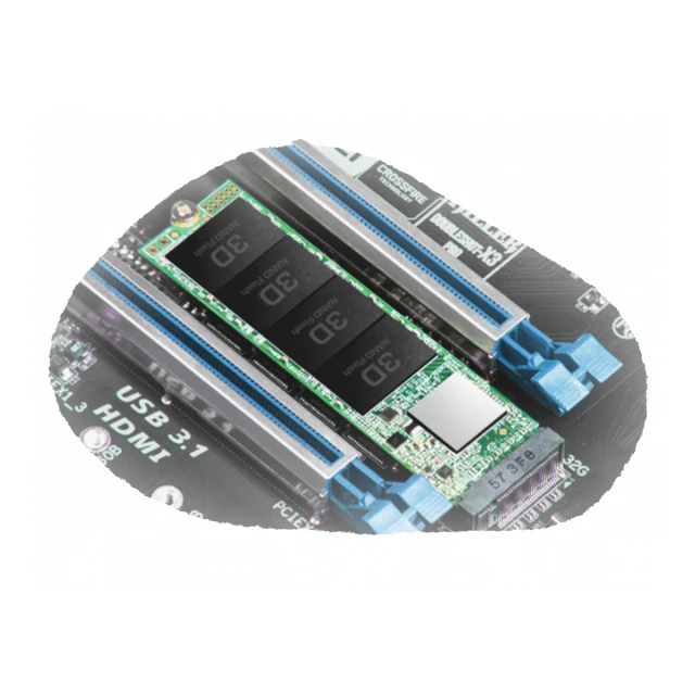 SSD TRANSCEND 250GB/interni/M.2/NVMe/crna