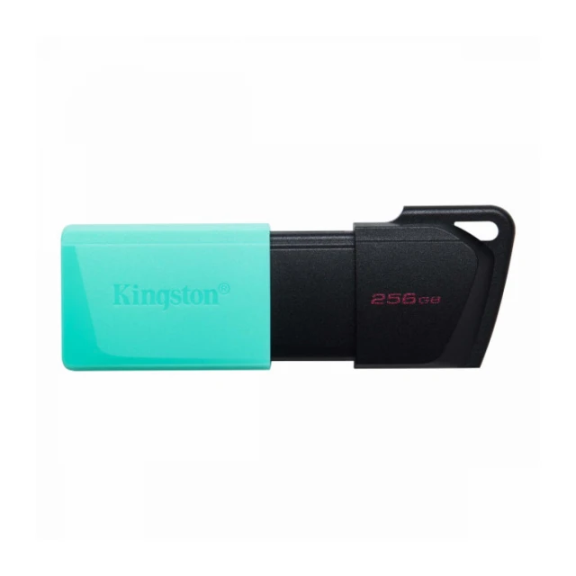 USB memorija KINGSTON DTXM 256GB/DataTraveler Exodia/3.2/crna