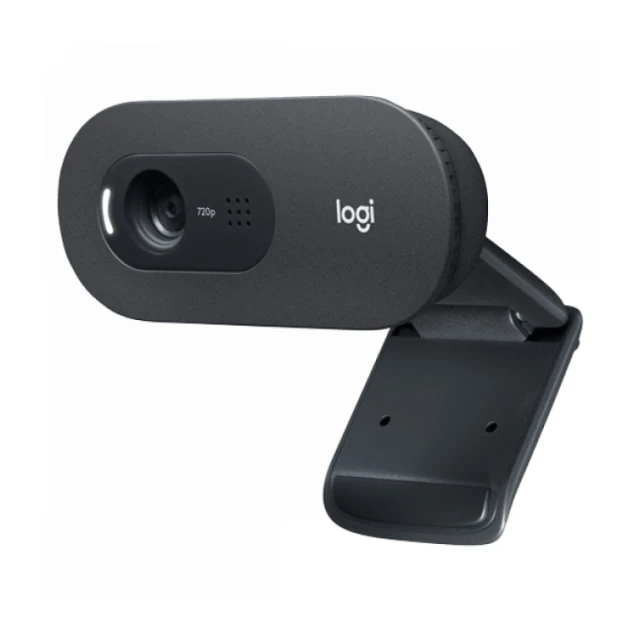 Web camera Logitech C505e 960-001372